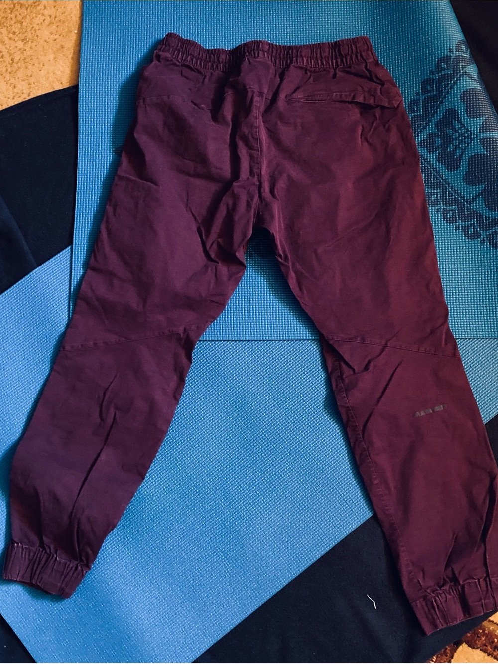 Women’s Mammut Jogger Style Hiking Pants in Eggplant